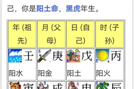 生命的八字