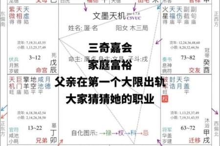 紫微斗数与四柱八字共参