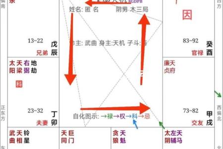 紫薇斗数星解