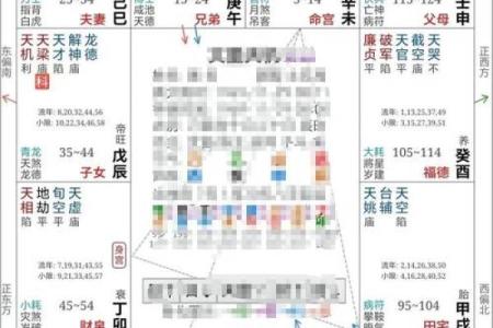 紫薇斗数旺权