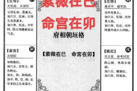 属于紫薇斗数
