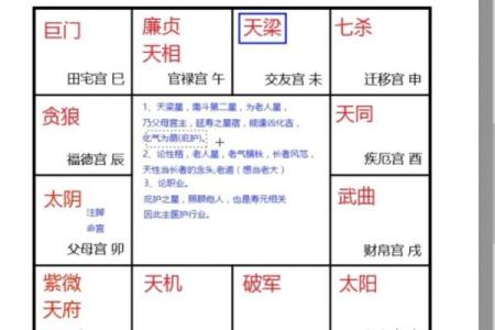 紫微斗数诸星落诸宫之：天机星官禄宫详解
