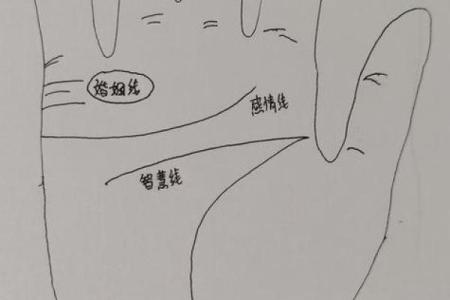川字掌算命分析