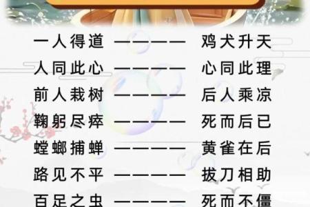 用八字成语