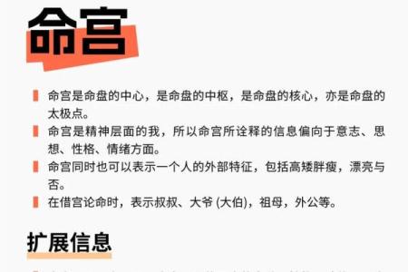 命主星紫薇斗数