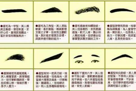 面相图解-八字眉面相算命及特征