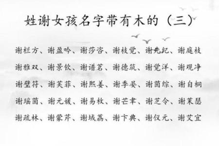 宝宝起名取名打分测试打分