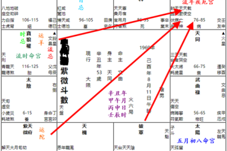 紫薇斗数流日股票