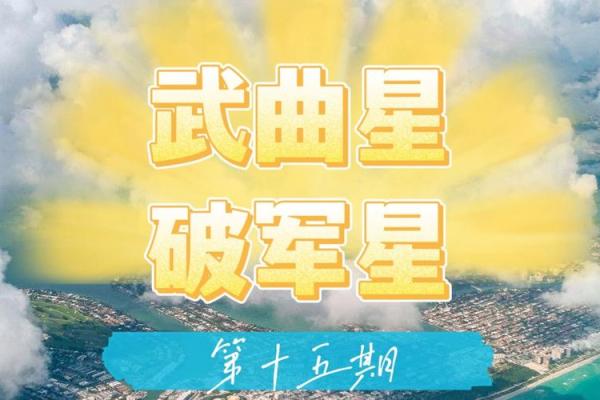 紫薇斗数双星组合