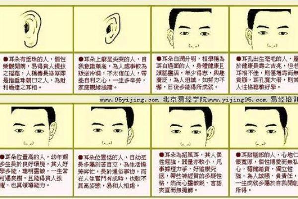 耳朵面相算命