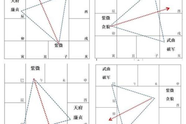 紫薇斗数全解PDF的简单介绍