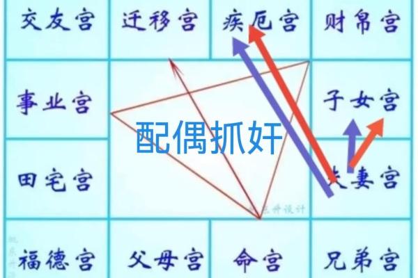 紫薇斗数生年化权入妻宫