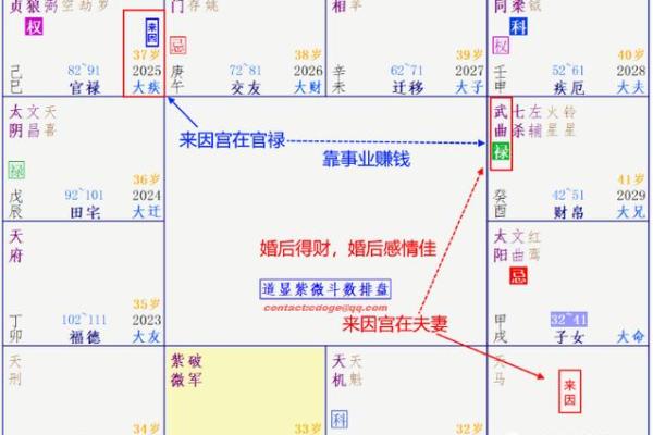 紫薇斗数生年化权入妻宫