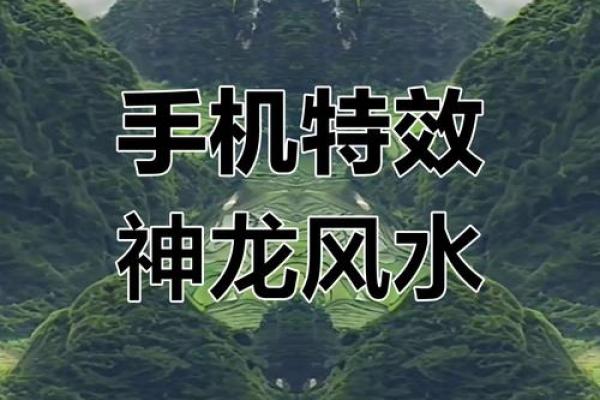 神龙风水攻略