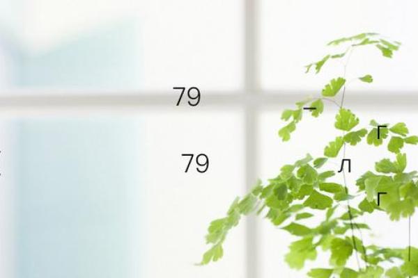 观音灵签第87签