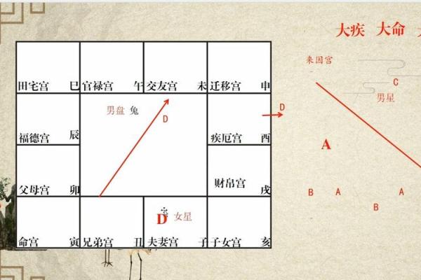 紫薇斗数看配偶姓氏