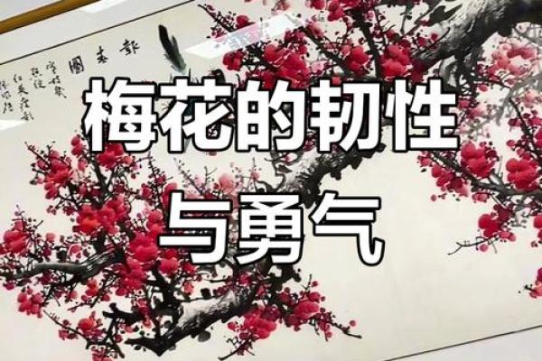 梅花风水_我秀了一副两米多的霜雪梅花图按风水是挂在西墙上好还是东墙上好
