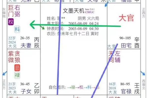紫微斗数看事业／学业