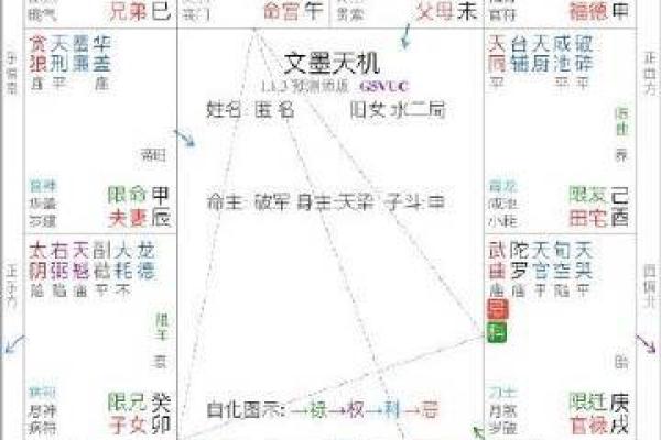 紫薇斗数冲破天罗地网