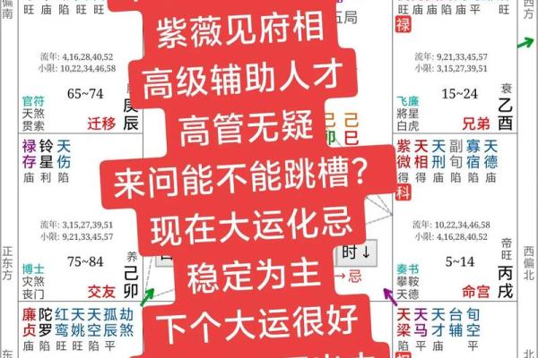 紫薇斗数看创业时机