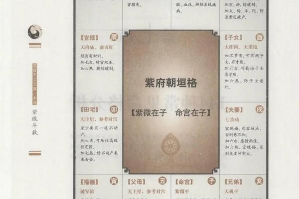 紫薇斗数在线分析免费