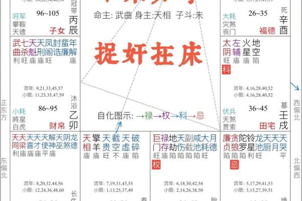 紫薇斗数好学不