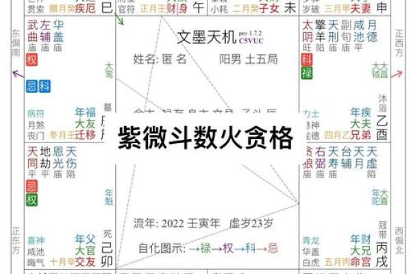 紫薇斗数创业流年