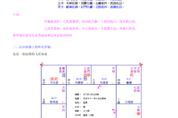 周飞星紫薇斗数