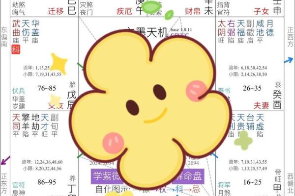 紫微斗数案例18健康：大运迁移宫多忌，哪些宫位会冲命宫？