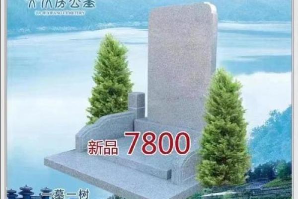 房子对面有陵园好不好风水