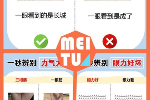测一下智商,测试智商的国际标准