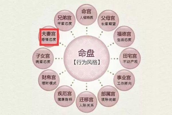 紫薇斗数配偶身材