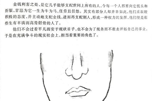 颧骨面相算命