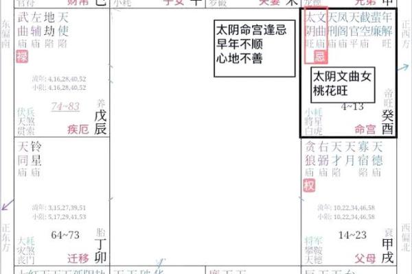 紫薇斗数哪个命格更好
