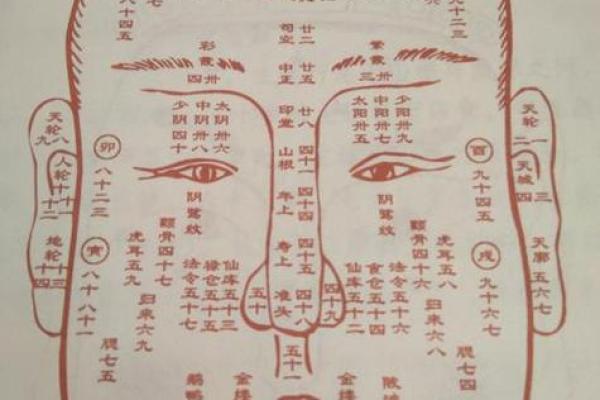 面相解析：额头面相算命图解