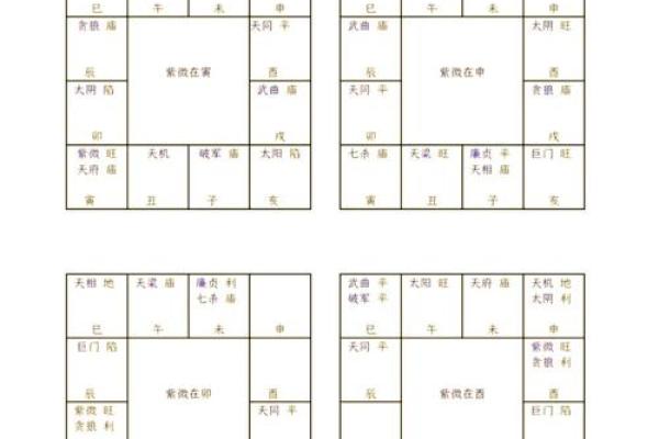 紫薇星盘星曜解析详解图