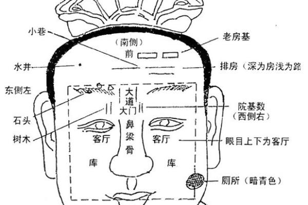 面相为什么断眉是富贵之相风水解答