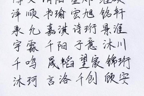 2019年3月25号巳时出生的男孩起名方法姓名