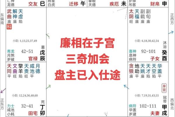 倪海厦紫薇斗数案例10