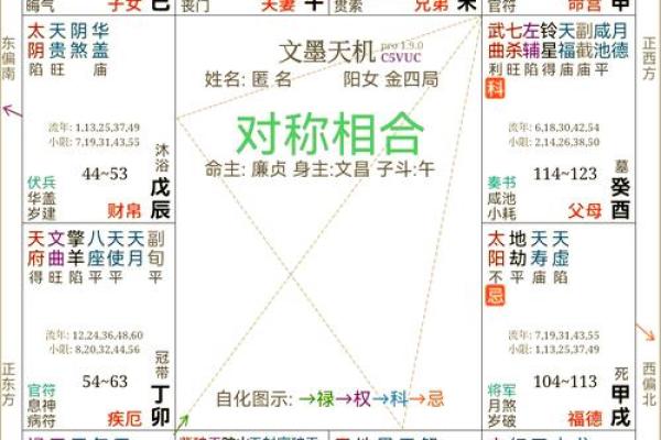 紫薇斗数流年艳遇