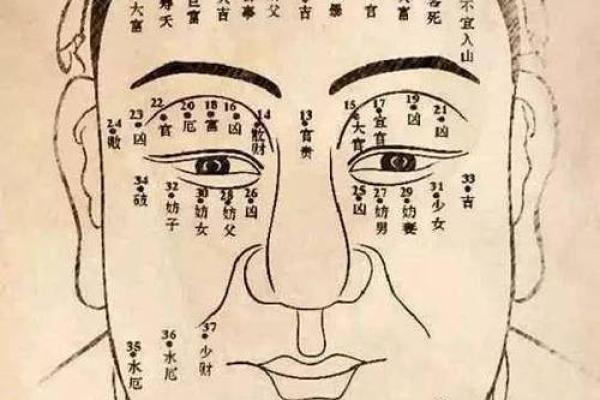 眉毛很浅在面相算命中是怎么说