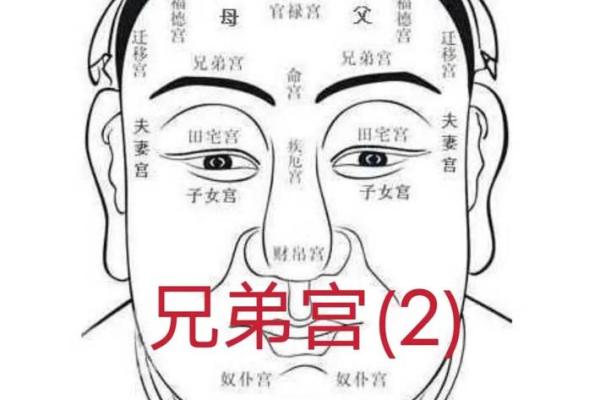 眉毛很浅在面相算命中是怎么说