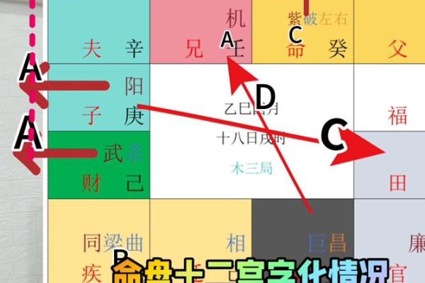 电脑紫薇斗数软件