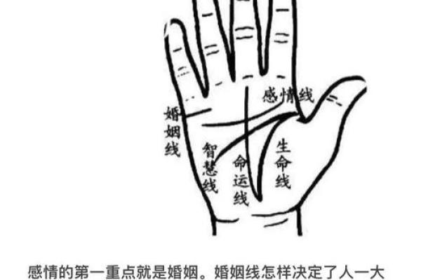 掌纹在线算命