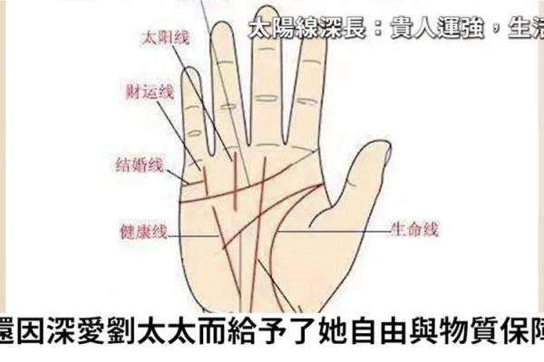 女人手纹算命图解,有福气的女人手相