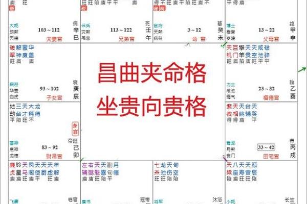 命格紫薇斗数
