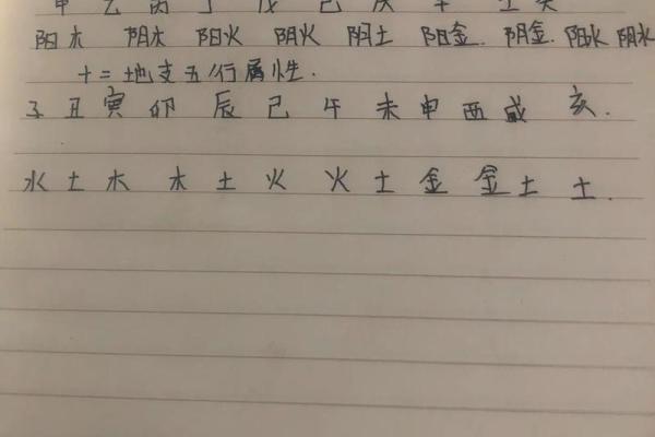 生辰八字五行缺水怎么办
