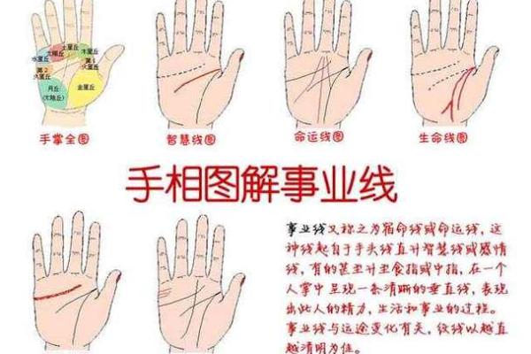 手相算命图解指纹的奥秘