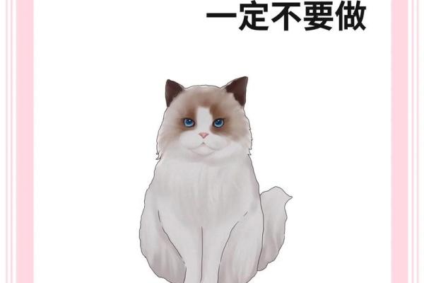 风水上哪几个生肖的人不能养猫禁忌