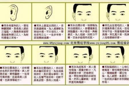 耳朵面相算命
